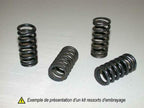 TOURMAX Clutch Spring Kit Honda - Extra