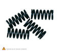 TOURMAX Clutch Spring Kit Honda - Main
