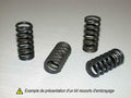TOURMAX Clutch Spring Kit Yamaha FZS600 Fazer - Main