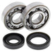ALL BALLS Crankshaft Bearing & Oil Seal Kit - Main