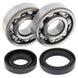 ALL BALLS Crankshaft Bearing & Oil Seal Kit - Main