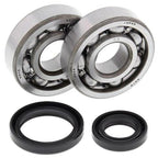 ALL BALLS Crankshaft Bearing & Oil Seal Kit - Main