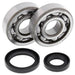 ALL BALLS Crankshaft Bearing & Oil Seal Kit - Main