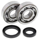 ALL BALLS Crankshaft Bearing & Oil Seal Kit - Main