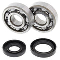 ALL BALLS Crankshaft Bearing & Oil Seal Kit - Main