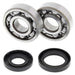 ALL BALLS Crankshaft Bearing & Oil Seal Kit - Main