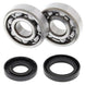 ALL BALLS Crankshaft Bearing & Oil Seal Kit - Main