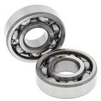ALL BALLS Crankshaft Bearing & Oil Seal Kit - Extra