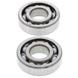 ALL BALLS Crankshaft Bearing & Oil Seal Kit - Main