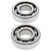 ALL BALLS Crankshaft Bearing & Oil Seal Kit - Extra