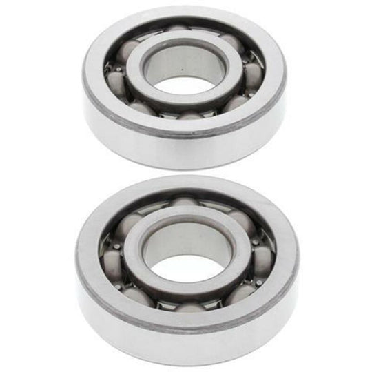ALL BALLS Crankshaft Bearing & Oil Seal Kit - Extra