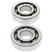 ALL BALLS Crankshaft Bearing & Oil Seal Kit - Extra