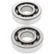 ALL BALLS Crankshaft Bearing & Oil Seal Kit - Extra
