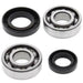 ALL BALLS Crankshaft Bearing & Oil Seal Kit - Main