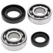 ALL BALLS Crankshaft Bearing & Oil Seal Kit - Main