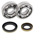 ALL BALLS Crankshaft Bearing & Oil Seal Kit - Main