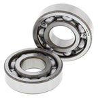 ALL BALLS Crankshaft Bearing & Oil Seal Kit - Extra
