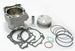 ATHENA Cylinder Kit - Ã˜100mm Suzuki LT-R450 - Main