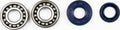 ATHENA Crankshaft Bearing & Oil Seal Kit - Main