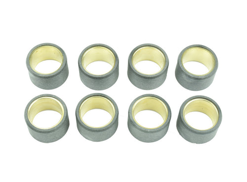 ATHENA Variator Rollers 25x17mm 16gr - Set of 8 - Main