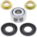 ALL BALLS Bottom Shock Absorber Bearing Kit Suzuki RM125/250 - Main