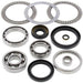 ALL BALLS Front Differential Bearing & Seal Kit - Main