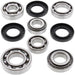 ALL BALLS Rear Differential Bearing & Seal Kit Yamaha - Main