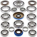 ALL BALLS Rear Differential Bearing & Seal Kit Polaris - Main
