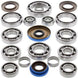 ALL BALLS Rear Differential Bearing & Seal Kit Polaris - Main