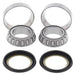 ALL BALLS Steering Shaft Bearing Kit Honda - Main