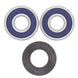 ALL BALLS Rear Wheel Bearing Kit - Main