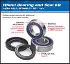 1039817-2.jpg