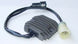 TOURMAX Regulator - Kawasaki Ninja ZX-6R - Extra