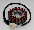 TOURMAX Stator - Yamaha FZS 1000 Fazer - Main