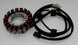 TOURMAX Stator - Suzuki VS 1400 Intruder GLF - Extra