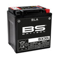 BS BATTERY SLA Battery Maintenance Free Factory Activated - BIX30L - Main