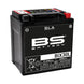 BS BATTERY SLA Battery Maintenance Free Factory Activated - BIX30L - Main