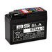 BS BATTERY SLA Battery Maintenance Free Factory Activated - BTR4A-5 - Main