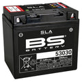 BS BATTERY SLA Battery Maintenance Free Factory Activated - 53030 - Main