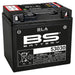 BS BATTERY SLA Battery Maintenance Free Factory Activated - 53030 - Main
