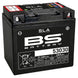 BS BATTERY SLA Battery Maintenance Free Factory Activated - 53030 - Main