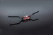 RENTHAL R-Works Fatbar 36 933 Villopoto/Stewart/Honda CRF Handlebar