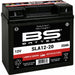 BS BATTERY SLA Battery Maintenance Free Factory Activated - SLA12-20 - Main