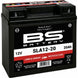 BS BATTERY SLA Battery Maintenance Free Factory Activated - SLA12-20 - Main