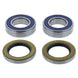 ALL BALLS Wheel Bearing Kit - Main