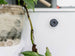 Suport Quad Lock® Adhesive Wall Mount - Twin Pack
