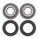 ALL BALLS Wheel Bearing Kit - Main