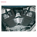Kuryakyn, stepped spark plug & head bolt covers