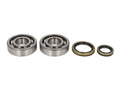 Kit de reparație pentru arbore cotit SUZUKI RM 250 1996-2002