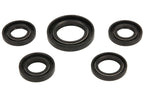 Set garnituri pentru motor INPARTS PF 10 064 0004 